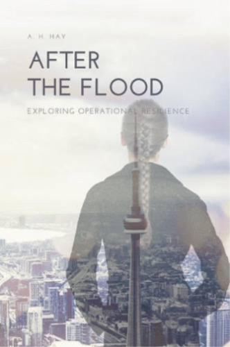 A H Hay After The Flood (taschenbuch) (us Import)