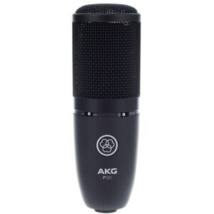 Akg P120 Hochleistungs Allgemeine Zweck Aufnahme Kondensatormikrofon Japan