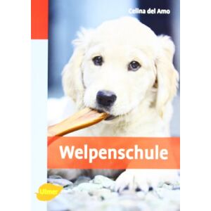 Amo, Celina Del - Gebraucht Welpenschule - Preis Vom 29.04.2024 04:59:55 H