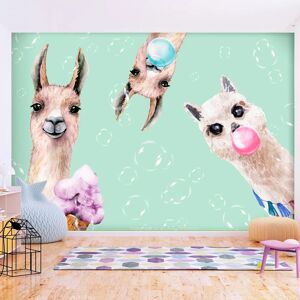 Artgeist Fototapete - Crazy Llamas