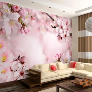 Artgeist Fototapete - Spring Cherry Blossom