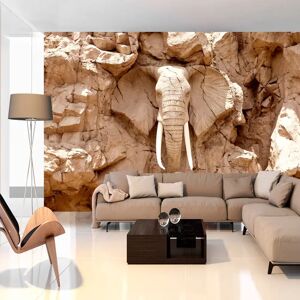 Artgeist Fototapete - Stone Elephant (south Africa)