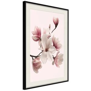 Artgeist Poster - Blooming Magnolias I
