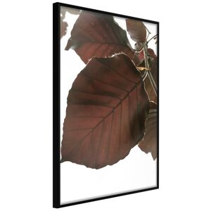 Artgeist Poster - Burgundy Tilia Leaf