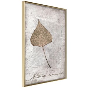Artgeist Poster - Dried Leaf