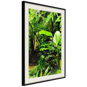 Artgeist Poster - In The Rainforest