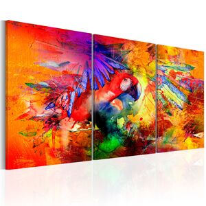 Artgeist Wandbild - Colourful Parrot