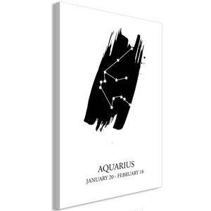 Artgeist Wandbild - Zodiac Signs: Aquarius (1 Part) Vertical
