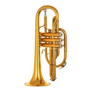 B&s 3142/2-gl Brochon Bb-cornet