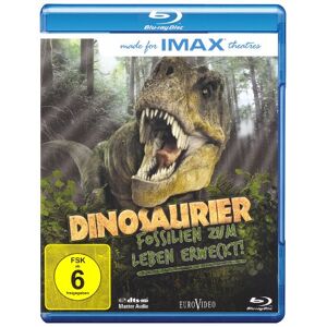 Bayley Silleck - Gebraucht Imax: Dinosaurier - Fossilien Zum Leben Erweckt! [blu-ray] - Preis Vom 28.04.2024 04:54:08 H