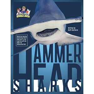 Beth Costanzo - Hammerhead Sharks