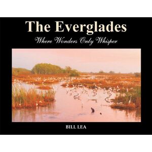 Bill Lea - Gebraucht The Everglades: Where Wonders Only Whisper - Preis Vom 19.04.2024 05:01:45 H