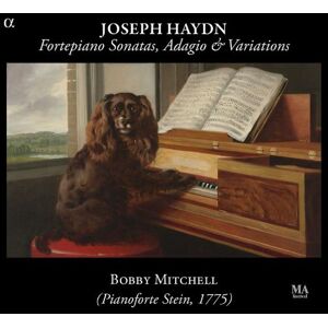 Bobby Mitchell - Gebraucht Haydn: Pianoforte Sonaten - Preis Vom 30.04.2024 04:54:15 H