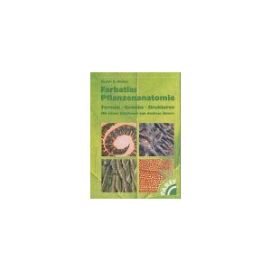 Bowes, Bryan G. - Gebraucht Farbatlas Pflanzenanatomie - Preis Vom 18.04.2024 05:05:10 H