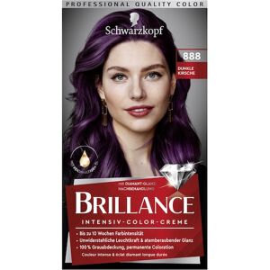 Brillance Haarpflege Coloration 888 Dunkle Kirsche Stufe 3intensiv-color-creme