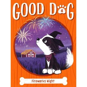 Cam Higgins - Gebraucht Fireworks Night (volume 4) (good Dog, Band 4) - Preis Vom 03.05.2024 04:54:52 H