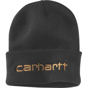 Carhartt Beanie Teller Hat 104068 - Rippstrickmütze Isoliert