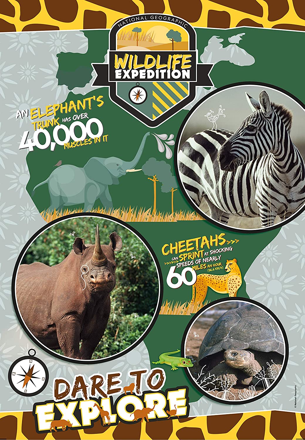 clementoni national geo kids - wildlife expedition 180 teile puzzle -29207
