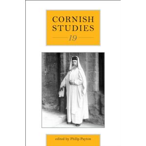 Cornish Studies 19 (englisch) Taschenbuch Buch