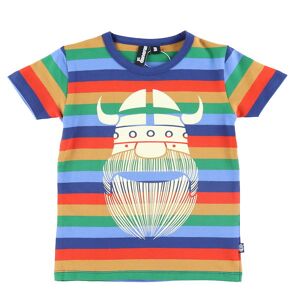 Danefæ T-shirt - Dane Rainbow Ringer - Kanutour Erik - Danefæ - 5 Jahre (110) - T-shirts