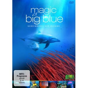 Darek Sepilo - Gebraucht Magic Of Big Blue - Geheimnisse Der Ozeane [3 Dvds] - Preis Vom 13.05.2024 04:51:39 H