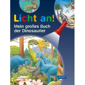 Delphine Gravier-badreddine - Gebraucht Mein Großes Buch Der Dinosaurier: Licht An! - Preis Vom 27.04.2024 04:56:19 H