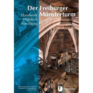 Der Freiburger Münsterturm: Handwerk, Hightech, Forschung - Stein, Farbe, Holz, 