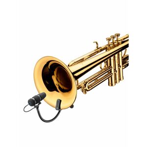 Dpa 4099 Core Trumpet / Brass