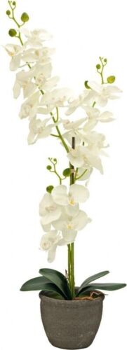 Europalms Orchidee, Kunstpflanze, Cremefarben, 80cm