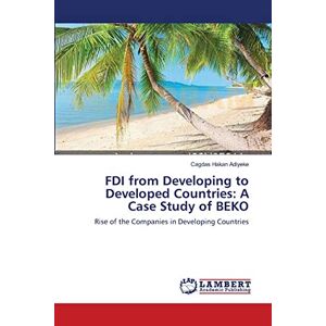 Fdi From Developing To Developed Countries: A Case Study Of Beko Rise Of Th 1902