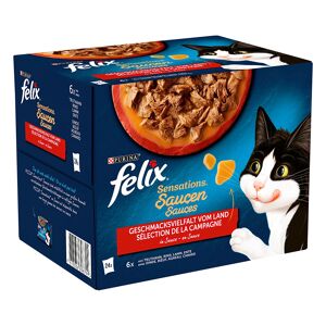 Felix Sensations Saucen Vielfalt Vom Land Sauce Katzenfutter Nassfutter 96 X 85g