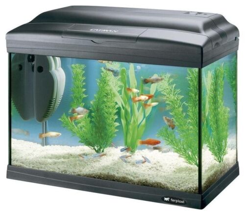 ferplast aquarium cayman 40 plus 42 cm 21 liter schwarz 6-teilig uomo