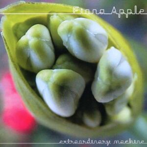 Fiona Apple - Gebraucht Extraordinary Machine - Preis Vom 30.04.2024 04:54:15 H
