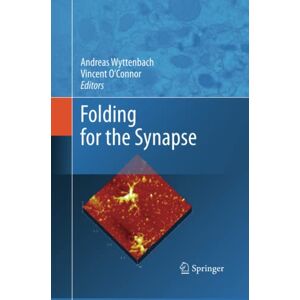 Folding For The Synapse 2832