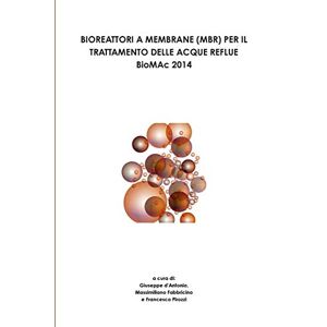 Giuseppe D'antonio - Bioreattori A Membrane (mbr) Per Il Trattamento Delle Acque Reflue - Biomac 2014 -