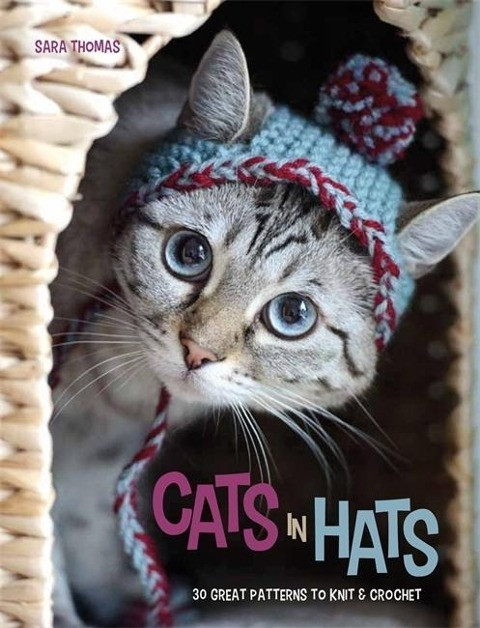 hamlyn cats in hats