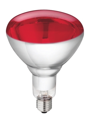 Hartglas 20 Stk. Infrarotlampe Philips Kerbl 22314 Infrarot Lampe Rot 250 W