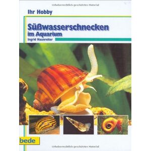 Ingrid Haunreiter - Gebraucht Süßwasserschnecken Im Aquarium, Ihr Hobby - Preis Vom 03.05.2024 04:54:52 H