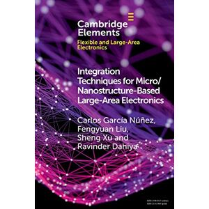 Integrationstechniken Für Mikro-/nanostrukturbasierte Großflächenelektronik Von F