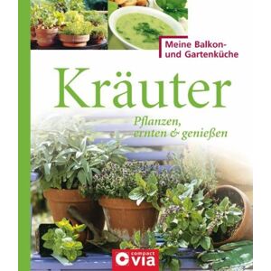 Jana Treber - Gebraucht Kräuter: Pflanzen, Ernten & Genießen. Würzige Kräuter Für Selbstversorger - Preis Vom 29.04.2024 04:59:55 H