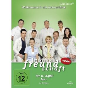 Jürgen Brauer - Gebraucht In Aller Freundschaft - Die 12. Staffel, Teil 1, 24 Folgen [6 Dvds] - Preis Vom 06.05.2024 04:58:55 H
