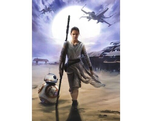 Kinder Tapete Star Wars Riesig Wandbild Bild Plakat Rey Blau Dekor