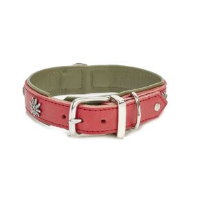 Laboni Edelweiss Hundehalsband - Rot-grün - Umfang 37-42 Cm - Länge 50 Cm - Breite 3,5 Cm