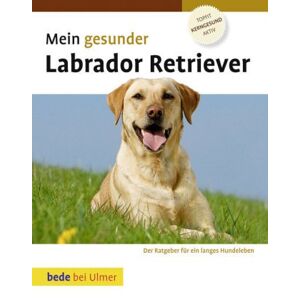 Lowell Ackerman - Gebraucht Mein Gesunder Labrador Retriever - Preis Vom 26.04.2024 05:02:28 H