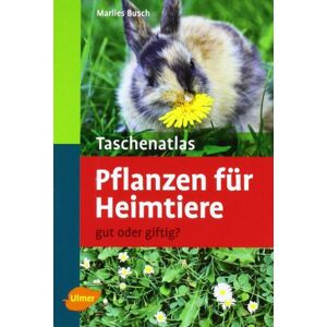 Marlies Busch - Gebraucht Taschenatlas Pflanzen Für Heimtiere: Gut Oder Giftig? - Preis Vom 06.05.2024 04:58:55 H