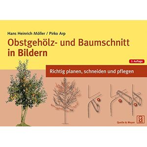 Möller, Hans Heinrich - Gebraucht Obstgehölz- Und Baumschnitt In Bildern: Richtig Planen, Schneiden Und Pflegen - Preis Vom 12.05.2024 04:50:34 H