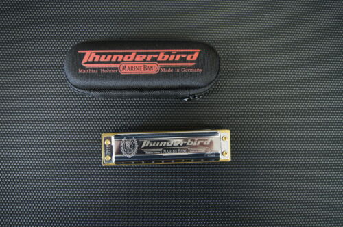 Mundharmonika Diatonisch Hohner Thunderbird 2011/20 Töne Tiefe / Low Keys