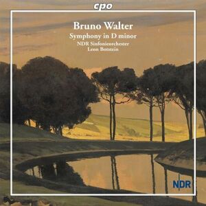 Ndr Sinfonieorchester - Gebraucht Symphony In D Minor - Preis Vom 28.04.2024 04:54:08 H