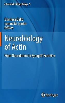 Neurobiology Of Actin From Neurulation To Synaptic Function 1158