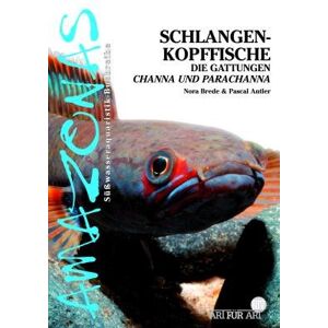 Nora Brede - Schlangenkopffische: Die Gattungen Channa Und Parachanna